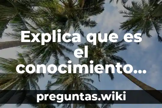 Explica que es el conocimiento positivismo