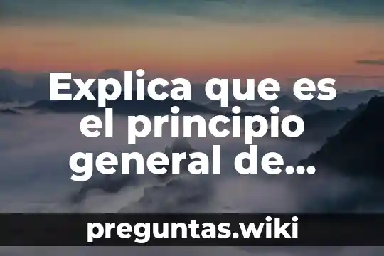 Explica que es el principio general de distribucion