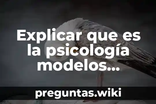Explicar que es la psicología modelos teóricos actuales