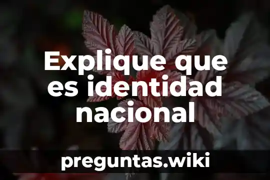 Explique que es identidad nacional