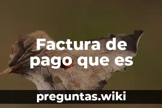 Factura de pago que es