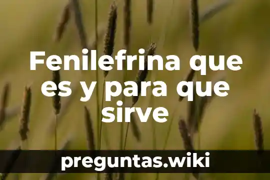 Fenilefrina que es y para que sirve
