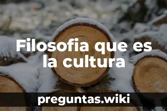 Filosofia que es la cultura