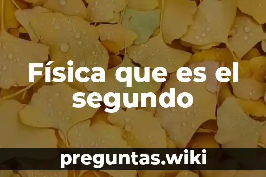 Física que es el segundo