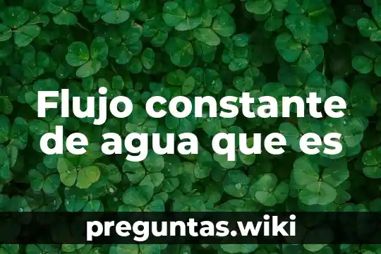 Flujo constante de agua que es