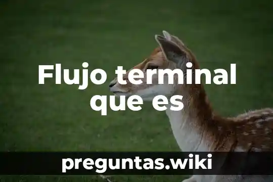Flujo terminal que es
