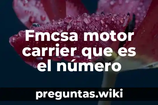 Fmcsa motor carrier que es el número