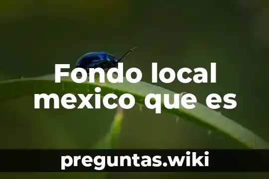 Fondo local mexico que es