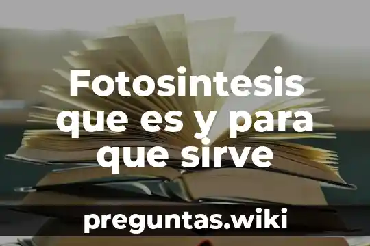 Fotosintesis que es y para que sirve