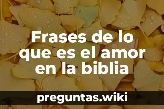 Frases de lo que es el amor en la biblia