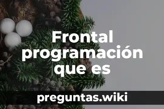 Frontal programación que es