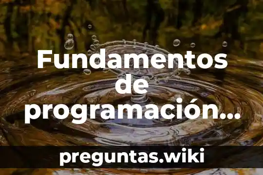 Fundamentos de programación que es ciencia
