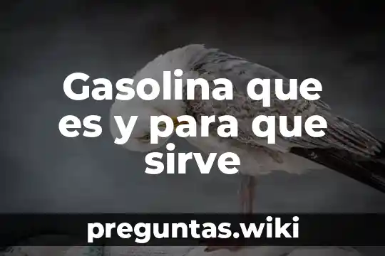 Gasolina que es y para que sirve