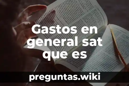 Gastos en general sat que es