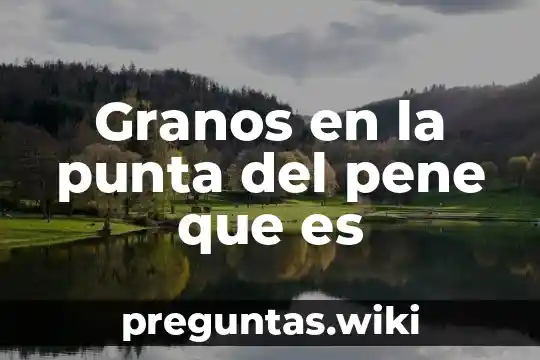 Granos en la punta del pene que es