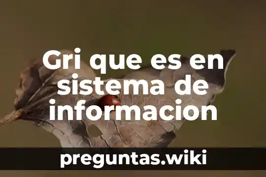 Gri que es en sistema de informacion