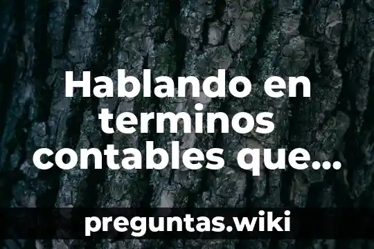 Hablando en terminos contables que es una agencia