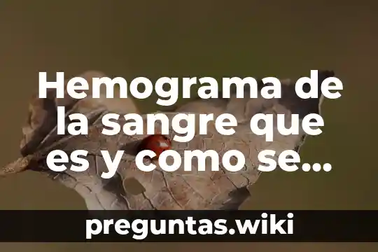 Hemograma de la sangre que es y como se hace