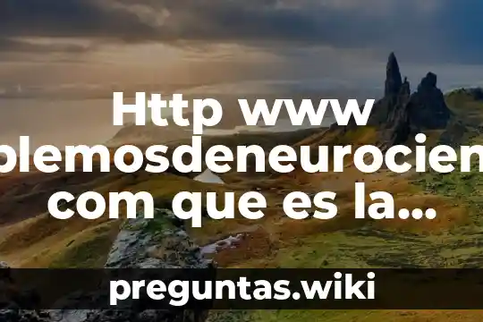 Http www hablemosdeneurociencia com que es la percepcion visual