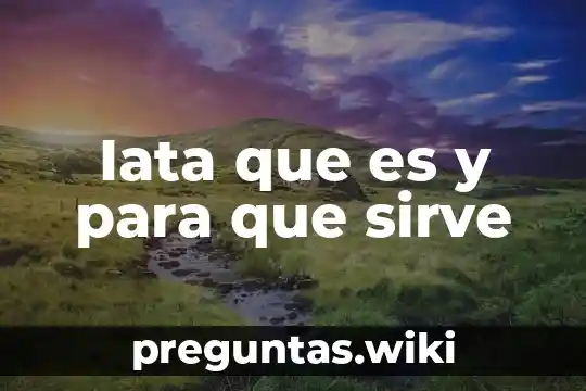 Iata que es y para que sirve