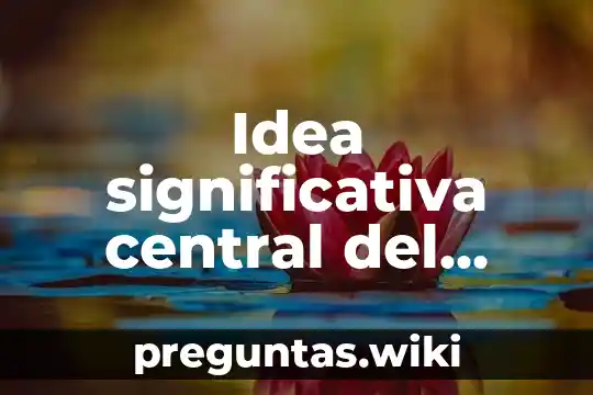 Idea significativa central del texto tema que es