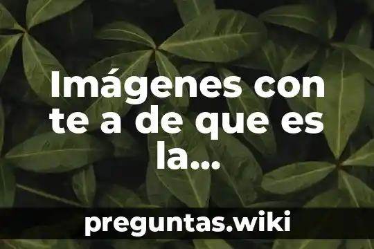 Imágenes con te a de que es la administración