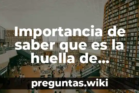Importancia de saber que es la huella de carbono