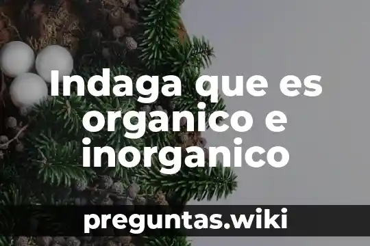 Indaga que es organico e inorganico