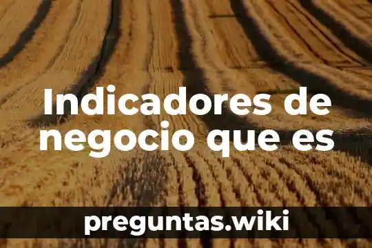 Indicadores de negocio que es