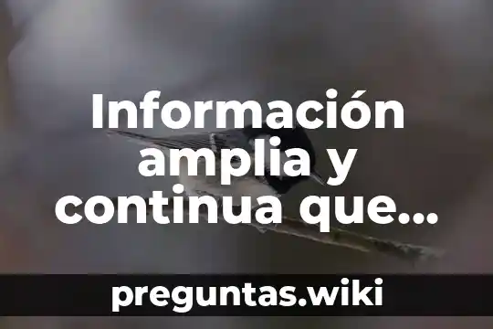 Información amplia y continua que es