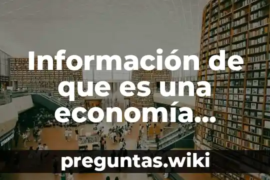 Información de que es una economía industrial