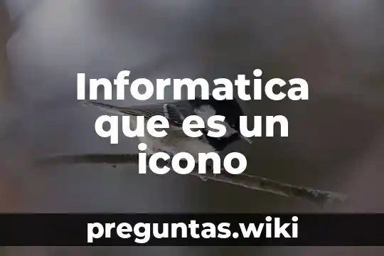Informatica que es un icono