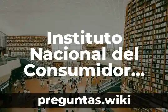 Instituto Nacional del Consumidor que es