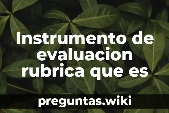 Instrumento de evaluacion rubrica que es