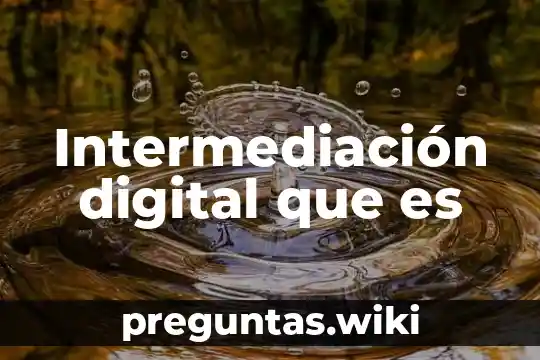 Intermediación digital que es