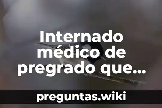 Internado médico de pregrado que es
