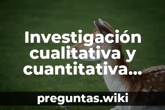 Investigación cualitativa y cuantitativa que es
