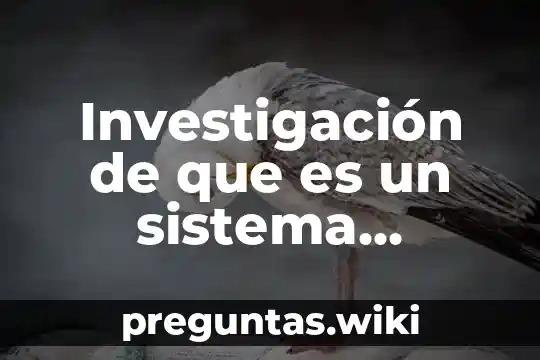 Investigación de que es un sistema volcánico