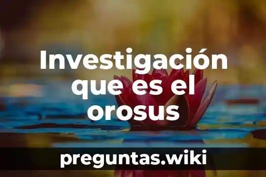 Investigación que es el orosus