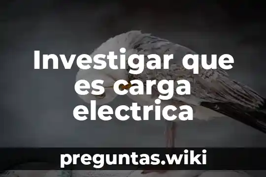 Investigar que es carga electrica