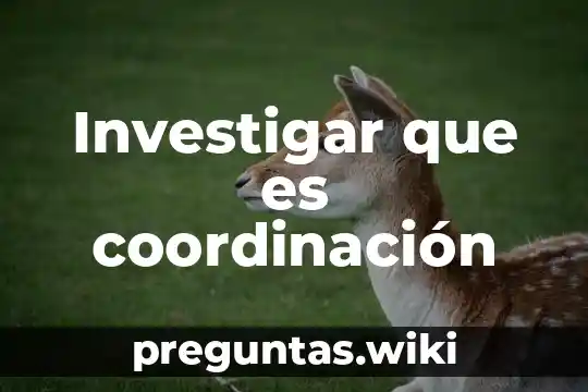 Investigar que es coordinación