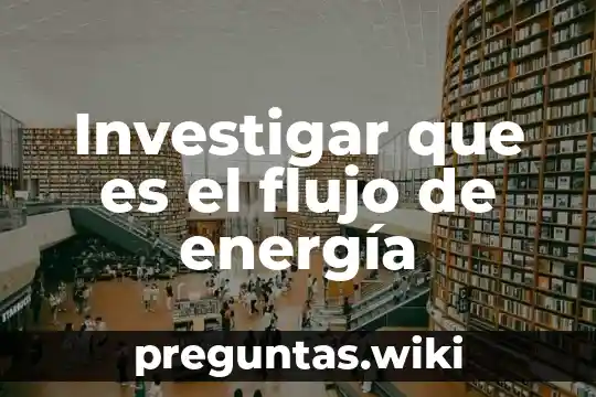 Investigar que es el flujo de energía