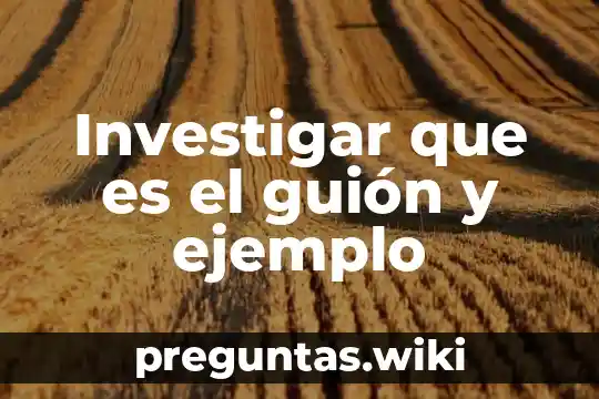 Investigar que es el guión y ejemplo