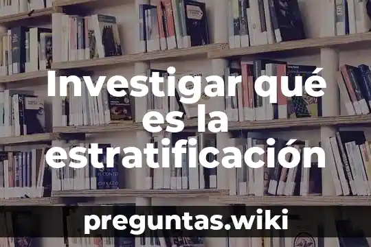 Investigar qué es la estratificación