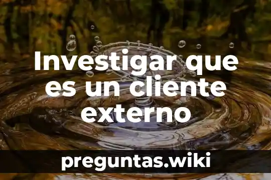 Investigar que es un cliente externo