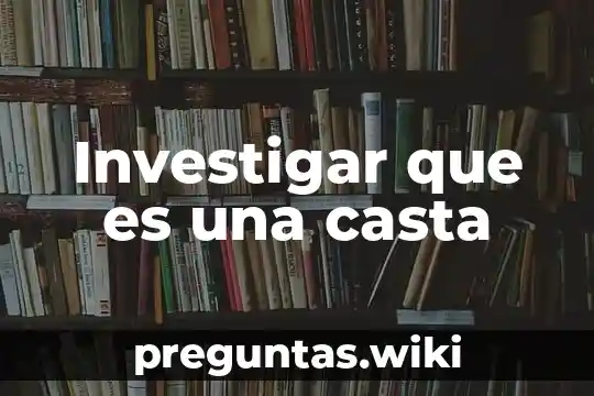 Investigar que es una casta