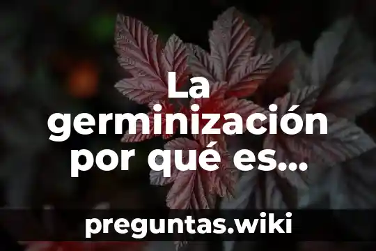 La germinización por qué es importante en la urea yahoot