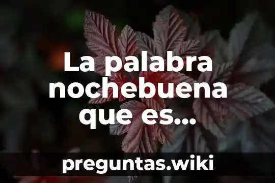 La palabra nochebuena que es sustantivo nucleo adjetivo