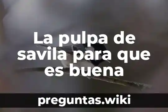 La pulpa de savila para que es buena