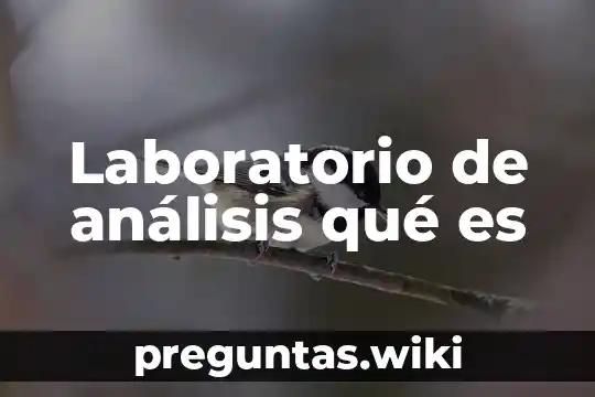 Laboratorio de análisis qué es